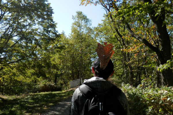 秋を見つけに、長官山散策！