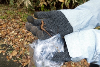 長官山で山歩き体験