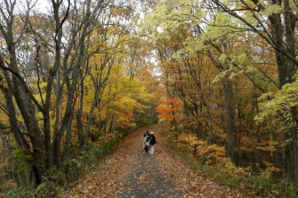 長官山で山歩き体験