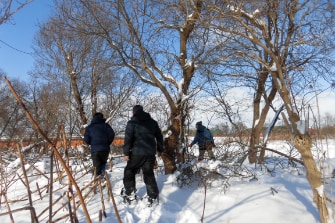ワカサギ釣り体験