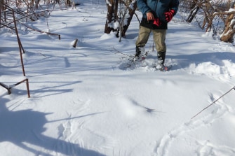 ワカサギ釣り体験